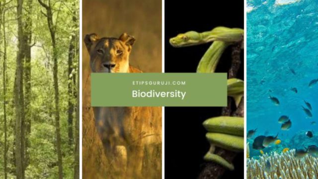 Biodiversity Act – A Unique System To Save Species On Earth