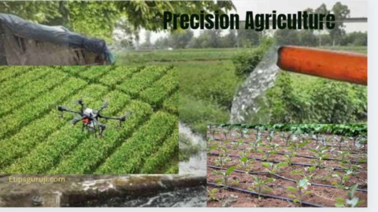 Precision Farming Empowering Farmers of Today
