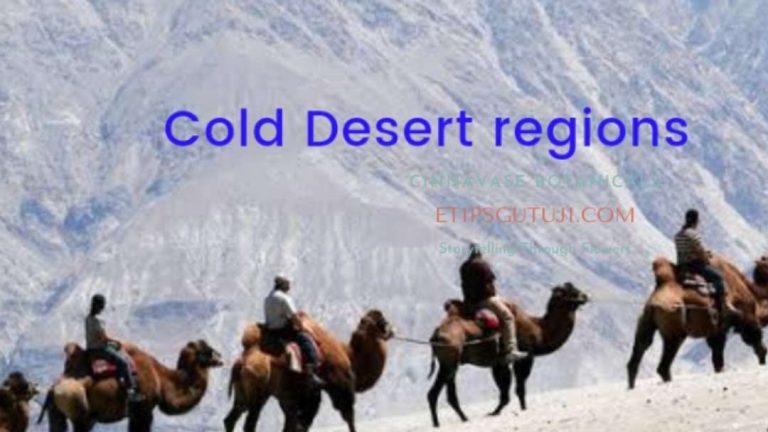 Cold Desert Regions: How Are They Different From Other Biomes