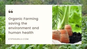 Benefits of Organic farming in India