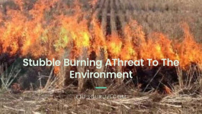 Stubble Burning A Threat To The Environment 