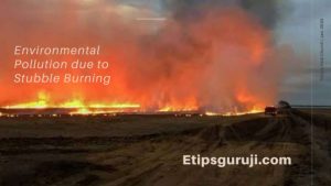 What gases are released during stubble burning