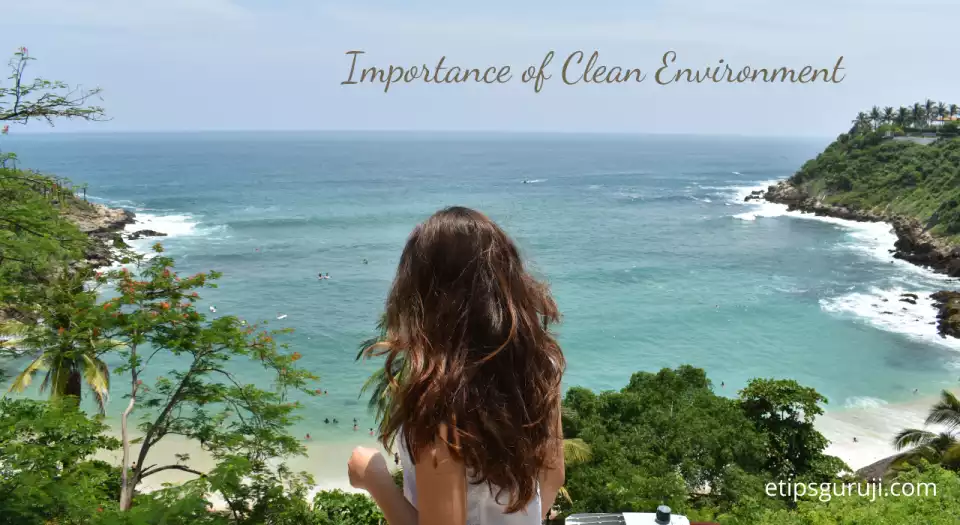 importance of clean environment 