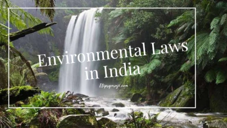 Environmental Laws in India for Protection and Conservation of Environment